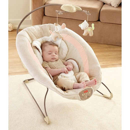 Fisher-Price My Little Snugapuppy Deluxe Bouncer Only $34.00! (Reg $59.99)