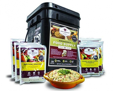 Wise Company Emergency Food Supply, Entree Only, 60 Servings – Just $52.99!