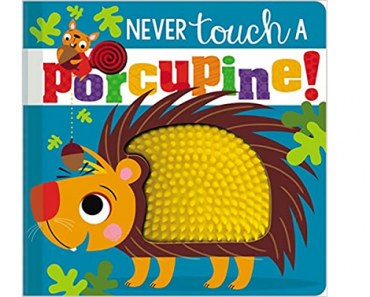 Never Touch a Porcupine Board Book Only $4.25!