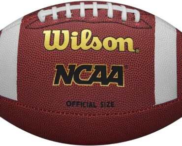 Wilson NCAA Football – Only $13.99!