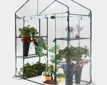 ABCCANOPY Walk-in Greenhouse – Only $33.95!