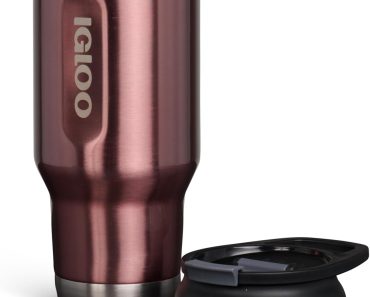 Igloo Stainless Steel Bottle, 32 Oz – Only $16.99!