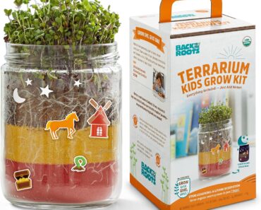 Back to the Roots Organic Kids Terrarium Grow Kit – Only $5.45!