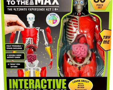 Be Amazing! Toys Interactive Human Body 60-Piece Fully Poseable Anatomy Figure – Only $15.26!