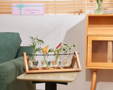 Plant Terrarium with Wooden Stand – Only $10.99!