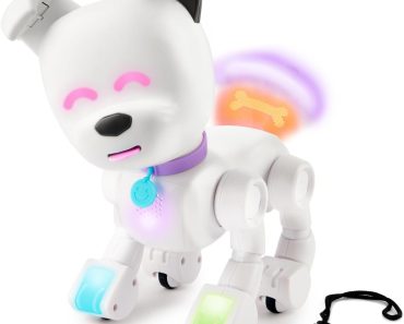 Interactive Robot Dog – Only $24.99!