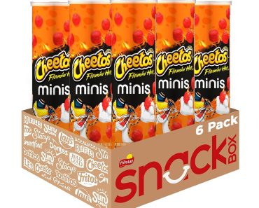 Cheetos Minis Canisters, Flamin’ Hot (Pack of 6) – Only $9.60!