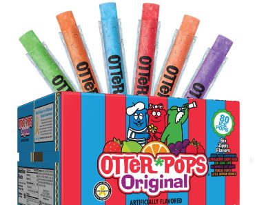 Otter Pops Freezer Bars (80 Count) – Only $4.99!