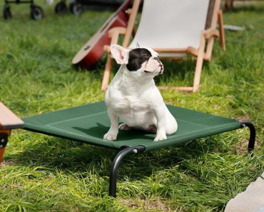 Elevated Cooling Outdoor Dog Bed – Only $20.99!