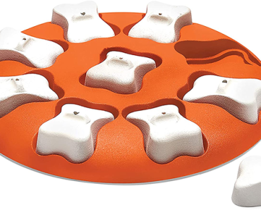 Outward Hound Nina Ottosson Dog Smart Orange Interactive Treat Puzzle – Just $6.80!