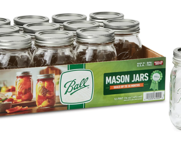 Ball Regular Mouth 16oz Pint Mason Jars with Lids & Bands, 12 Count – Just $11.44!