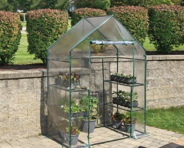 Miracle-Gro All-Season Mini Walk-in Greenhouse – Only $33!