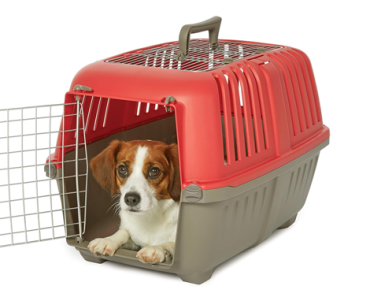 MidWest Homes for Pets Spree Travel Pet Carrier – Just $22.79!