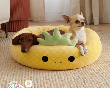 Squishmallows 20-Inch Maui Pineapple Pet Bed – Only $22.19!