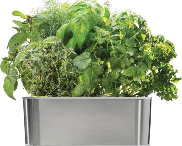 AeroGarden Harvest Elite Indoor Garden Hydroponic System – Only $60! Arrives Before Christmas!