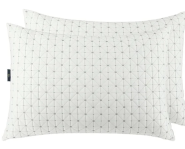 Sertapedic Charcool Bed Pillow, Standard/Queen, 2 Pack – Just $22.44!