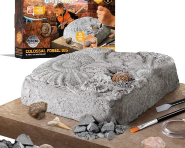 Discovery Colossal Fossil Dig Set – Only $8.64!