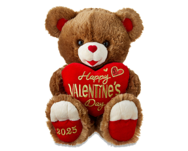 Valentine’s Day Brown Sweetheart Teddy Bear – Just $9.97!