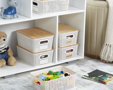 Small Plastic Storage Bins – Only $25.19!